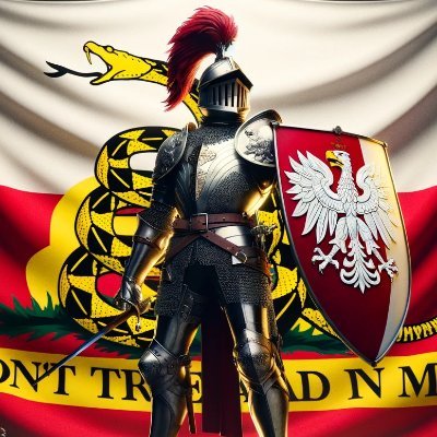 Polish paleolibertarians supporting Western (Latin) civilization. The Polish-Lithuanian Commonwealth (before 1795) was the freest country in the world!