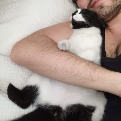 cmadgzl's profile picture. 