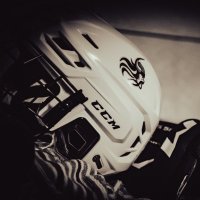 Gonzaga Vikings Hockey (@hockeygonzaga) 's Twitter Profile