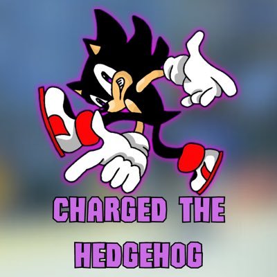 Official Voice Actor  of Satam Sonic in Sonic Rise of Infri!