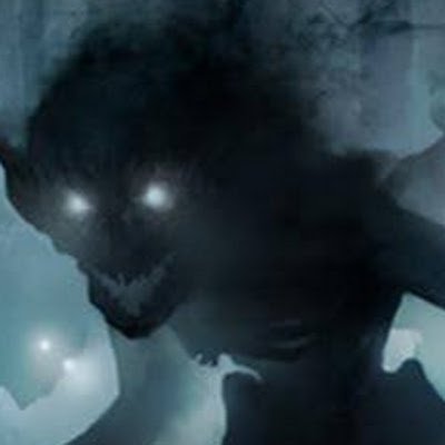 nivellenes55620's profile picture. 
