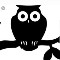 بوف کر (@deafowl) 's Twitter Profile Photo بوف کر (@deafowl) 's Twitter Profile Photo