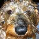 Vanessa Griffiths - @Griffiths_V - Twitter