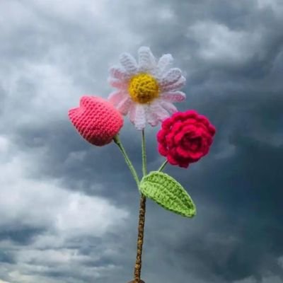 iamhoney_a's profile picture. 💜