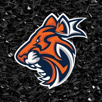Official X Account for the Auburn Esports Club | #WarDamnEsports | Email: esports@auburn.edu | Twitch: https://t.co/NLh60jlO3o