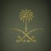 Saif Alamri (@s2_amri) Twitter profile photo