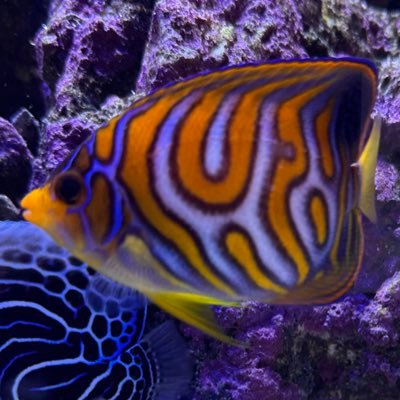 Iowamarc72's profile picture. 