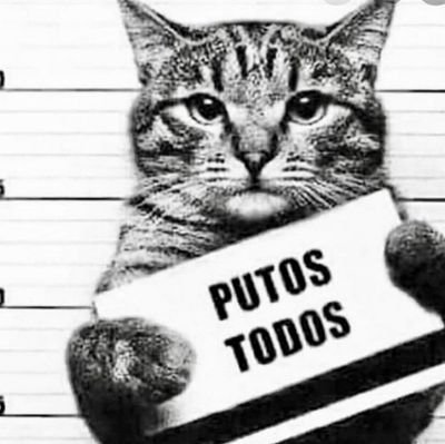MichaelMahechaT's profile picture. Detractor del buen Gusto/
No soy Comunista, Socialista Ni Capitalista, más bien Idealista/odio con mí alma el maltrato animal/ Embajador 💙
