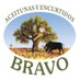 Aceitunas Bravo (@aceitunasbravo) Twitter profile photo Aceitunas Bravo (@aceitunasbravo) Twitter profile photo