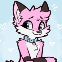 pjfoxes 🦊💕(@pjfoxes) 's Twitter Profile Photo