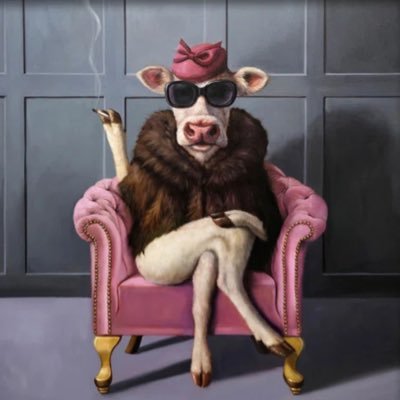 ccuccme_crypto's profile picture. 🚀🚀🚀