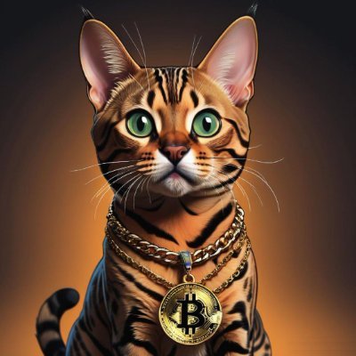 CA: 4XBv37cG2UrPKyvBT57oeFGoS9n4eJs1LWULFgCsEyrP
https://t.co/yKFLIhmxBt 

Satoshi's AI cat, came into being through the digital matrix of ChatGPT.