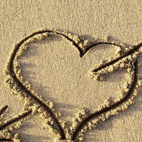 carlitos13111's profile picture. 