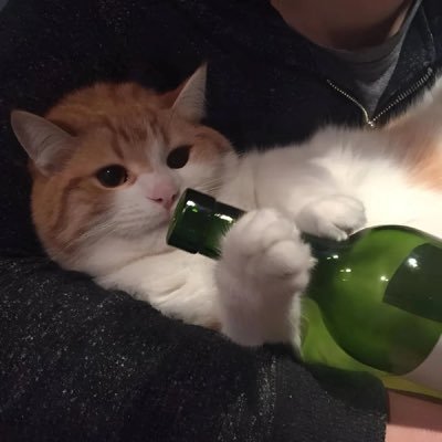 waitforrai's profile picture. 