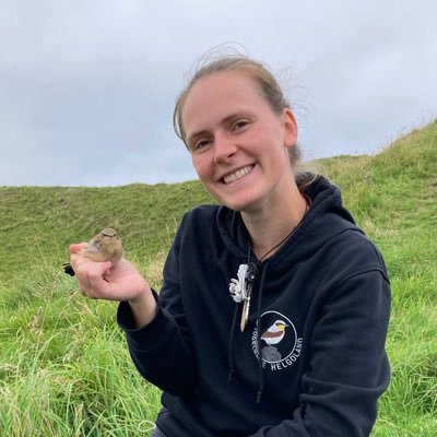 PhD student investigating #orientation / #navigation in #songbirds at University of Oldenburg, Germany 🧭 passionate about #birds 🦉🐦‍⬛🦆🪺