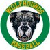Irish Wolfhounds Baseball (@wolfhoundsx) Twitter profile photo Irish Wolfhounds Baseball (@wolfhoundsx) Twitter profile photo