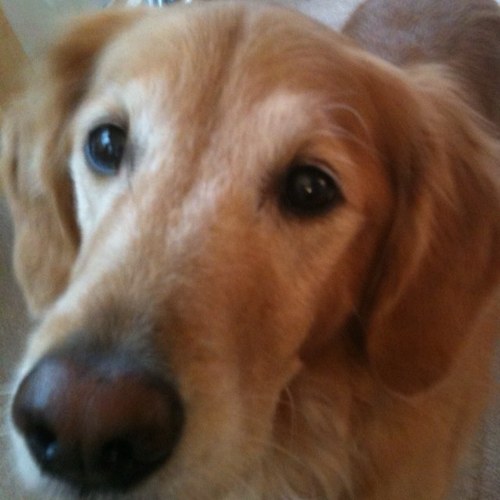 scoutmack's profile picture. 