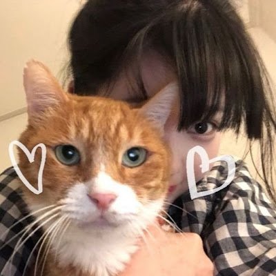 ARIANA770353's profile picture. 