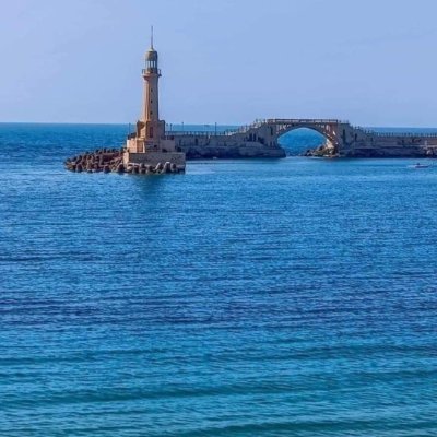 DynaAhmd83145's profile picture. مسلمة تريد نهضة الأمة الإسلامية