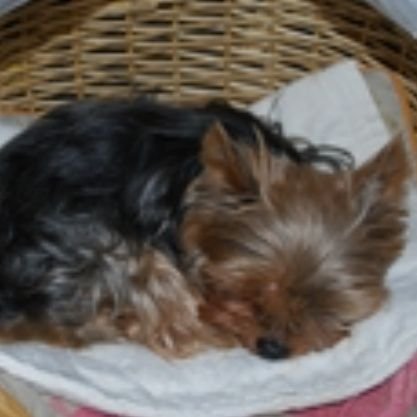 0519chigasaki's profile picture. 投資アカ💹 生活全般アカ🙌
健康🏃ダイエット💪
【長期投資】現在:アッパーマス層
★全世界🌏★SP500★SCHD★米国高配当株🇺🇸 ★日本高配当株🇯🇵 約100銘柄分散★ 長期投資されている方と交流できたら素敵ですね🤝  魔除け:六四天安門