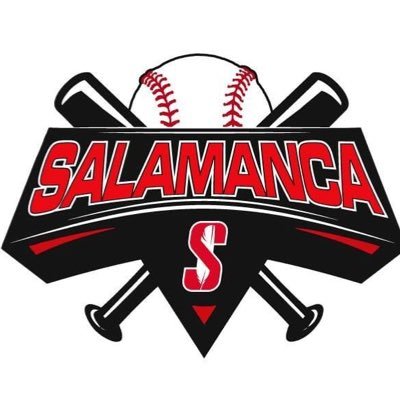 Official twitter account of the Salamanca (NY) Varsity Baseball Team.