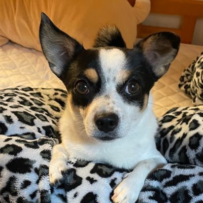 ten0527ten's profile picture. #春から東海大学 広報メディア 無言フォロー失礼します🙇‍♀️🙏