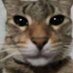 Lacky (@ramram_555) Twitter profile photo Lacky (@ramram_555) Twitter profile photo