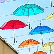 ❤️💚マキマルZa:)makimal🧡💙 (@makimal_tbl) 's Twitter Profile Photo