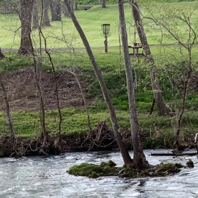 Have you ever played disc golf? I’d love to tell you about Divergent Discs!