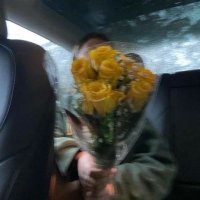 اليمامة 🕊 (@momaanwer) Twitter profile photo