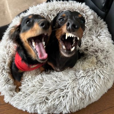 nagatomo714's profile picture. #診療放射線技師 #株取引 #デリカD2 #ジムニー #キャンプ #カヤック #モンキー50 #ハゼ釣り