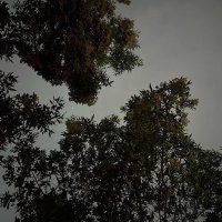 EYED (@adyed32) Twitter profile photo