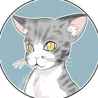 猫★仔猫(@nekoamazon) 's Twitter Profile Photo