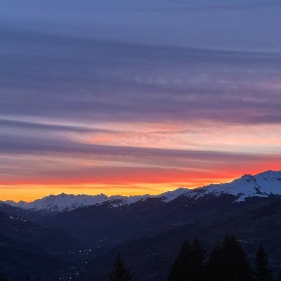 SophDtll's profile picture. 