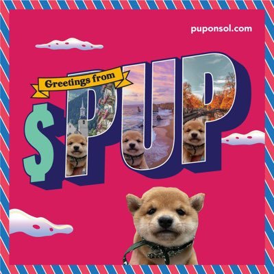 puptravels_sol Profile Picture