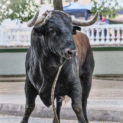 hombre separado de 36 años, estatura media, no gordo ni delgado, moreno, puedo dar aporte para las parejas que me den oportunidad, soy de García puedo mvehiculo
