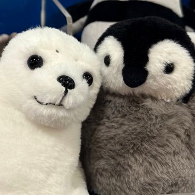21대 대통령 이재명 / 으ㅏ아랴라차아릋앍💙진 짜💙 2 1 대 대 통 령 이 재 명 ! ! ! ! ! !