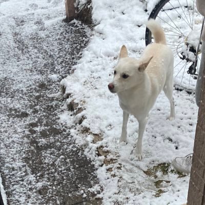 yuyu_72_s's profile picture. '05 (y24)琉球大学/工学部/エネルギー環境工学コース