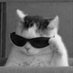 far's (latest version) (@fclairdelune) Twitter profile photo far's (latest version) (@fclairdelune) Twitter profile photo