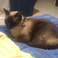 denyy (@devid1489) 's Twitter Profile