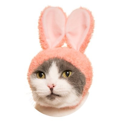 取引アカ🍒