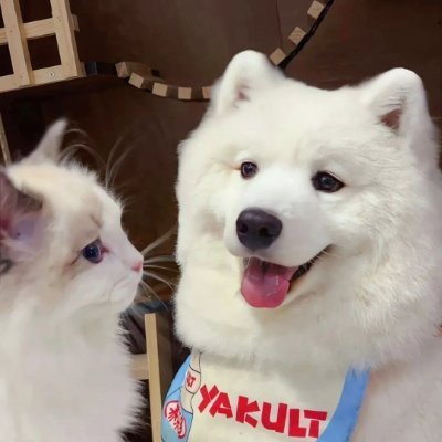 Carma38979319's profile picture. evrey finish line is a bigining of a new race