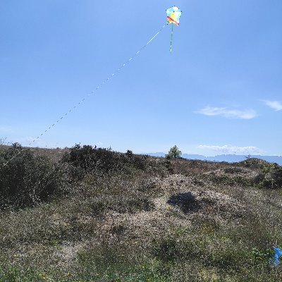 Vasilik78542613's profile picture. 