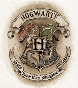 WELCOME TO HOGWARTS WITCHRAFT AND WIZARDLY SCHOOL .