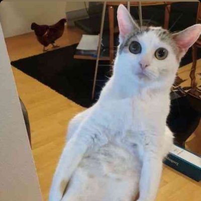DriftyDeez's profile picture. 