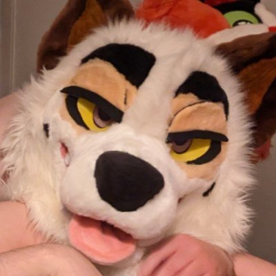 baps at u 🔜BLFC 2024!さんのプロフィール画像