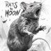 rats rune (@fanning81185) Twitter profile photo