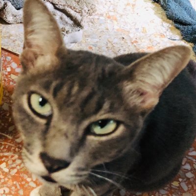 ThaiNNews's profile picture. CryptoManiac - Blockchain https://t.co/QDSZzpsNBm
Solana
Solana wrapped BTC Protocol