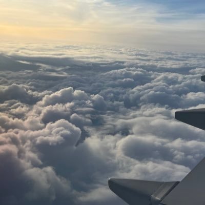 WENZHAN259823's profile picture. 一个自由的旅行者