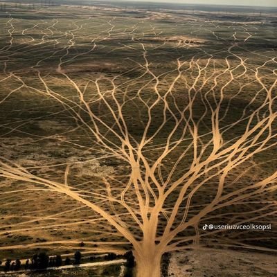 Fahd22394525's profile picture. 1991
معشوقتي المدينة المنورة